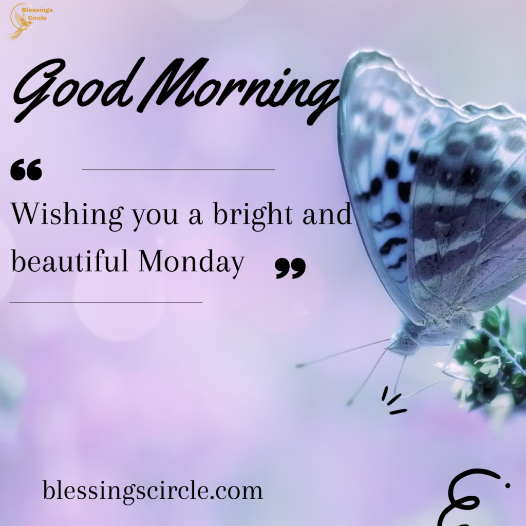Good morning monday blessings