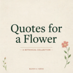 My Love for You Is Like a Flower Quotes