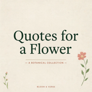 My Love for You Is Like a Flower Quotes