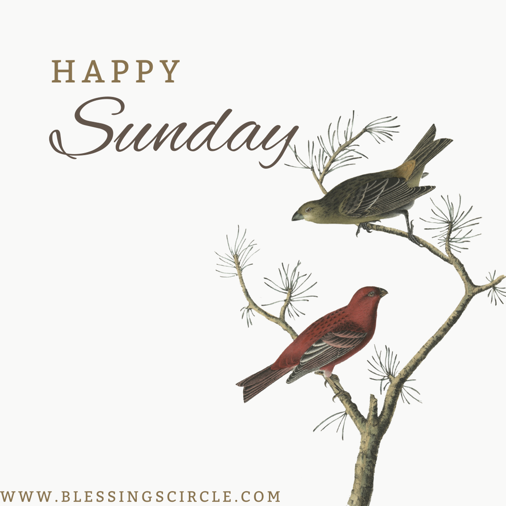 100+ Sunday Blessing Morning prayer, bible and quotes !