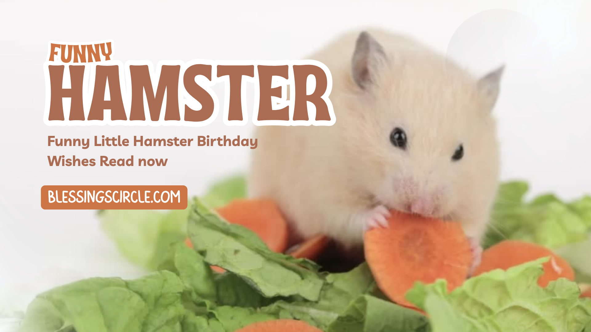 100+ Happy Birthday Wishes for Hamster- Cute, Funny, Sad